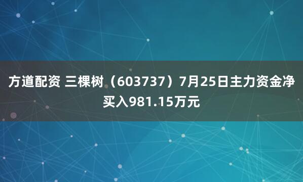 方道配资 三棵树（603737）7月25日主力资金净买入981.15万元