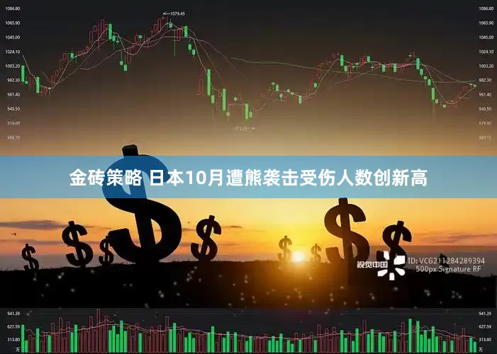 金砖策略 日本10月遭熊袭击受伤人数创新高